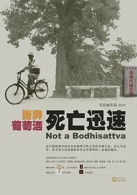 大碗茶